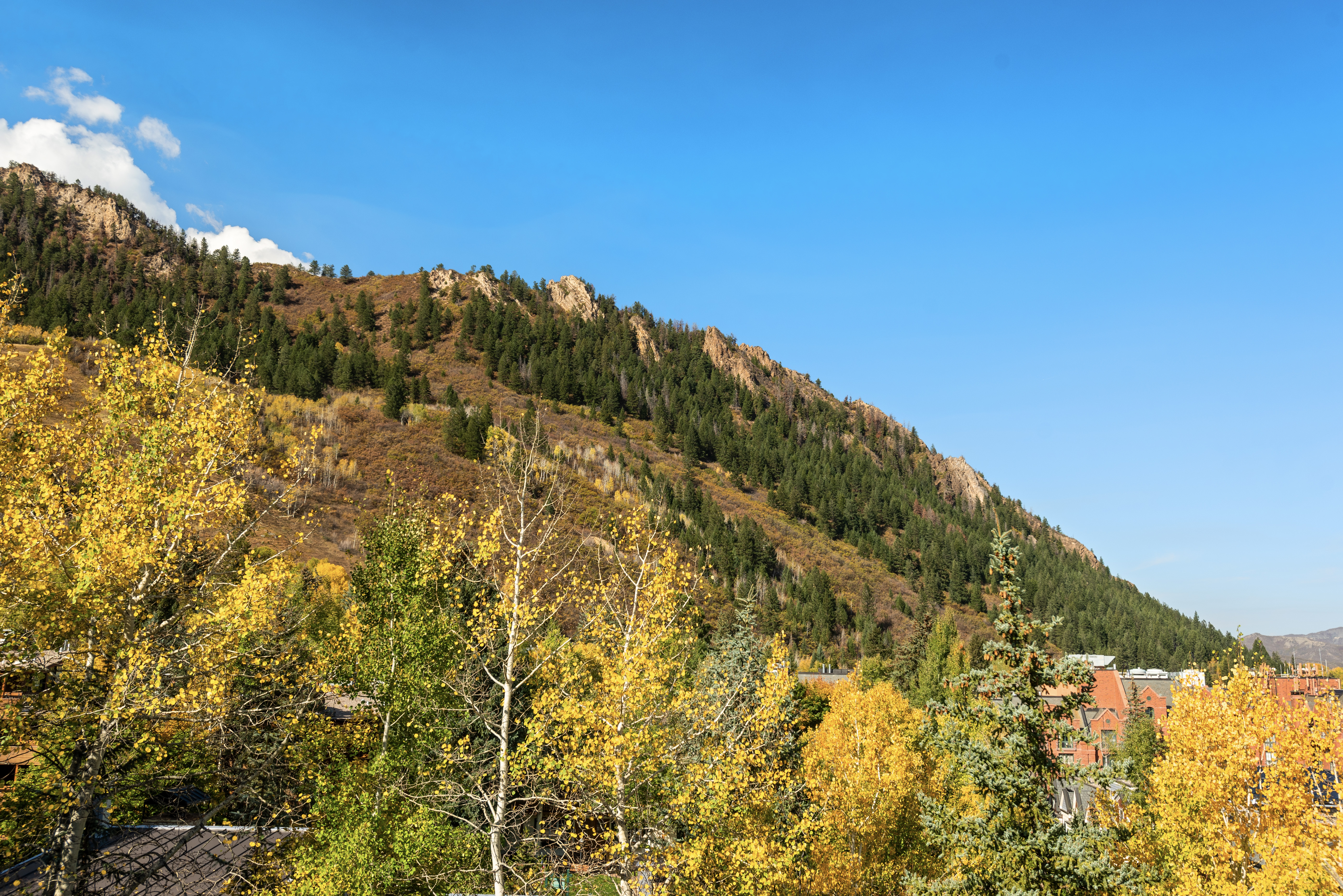 18-660SGalenaSt_241008018