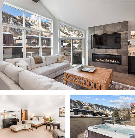 927 E Durant Ave #3, Aspen, CO 81611